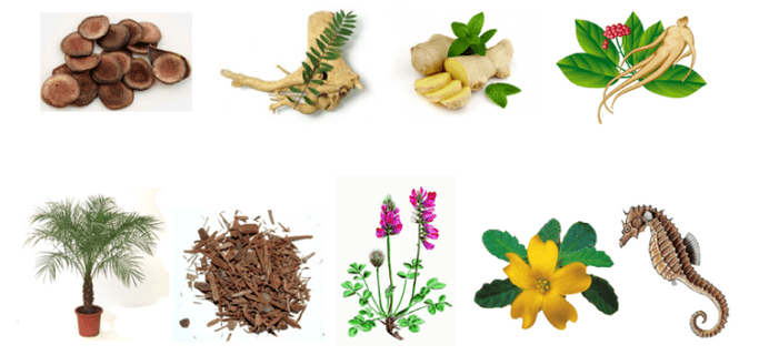 natural remedies to increase power