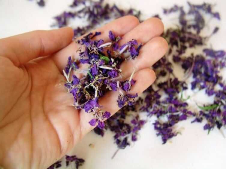 Medicinal products are prepared from the dried flowers of fireweed